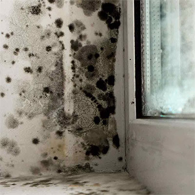 inquinanti domestici muffe