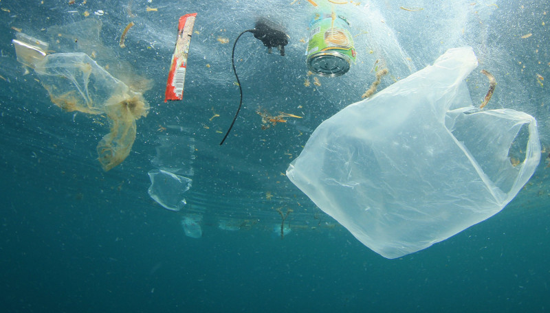 Inquinamento da microplastiche
